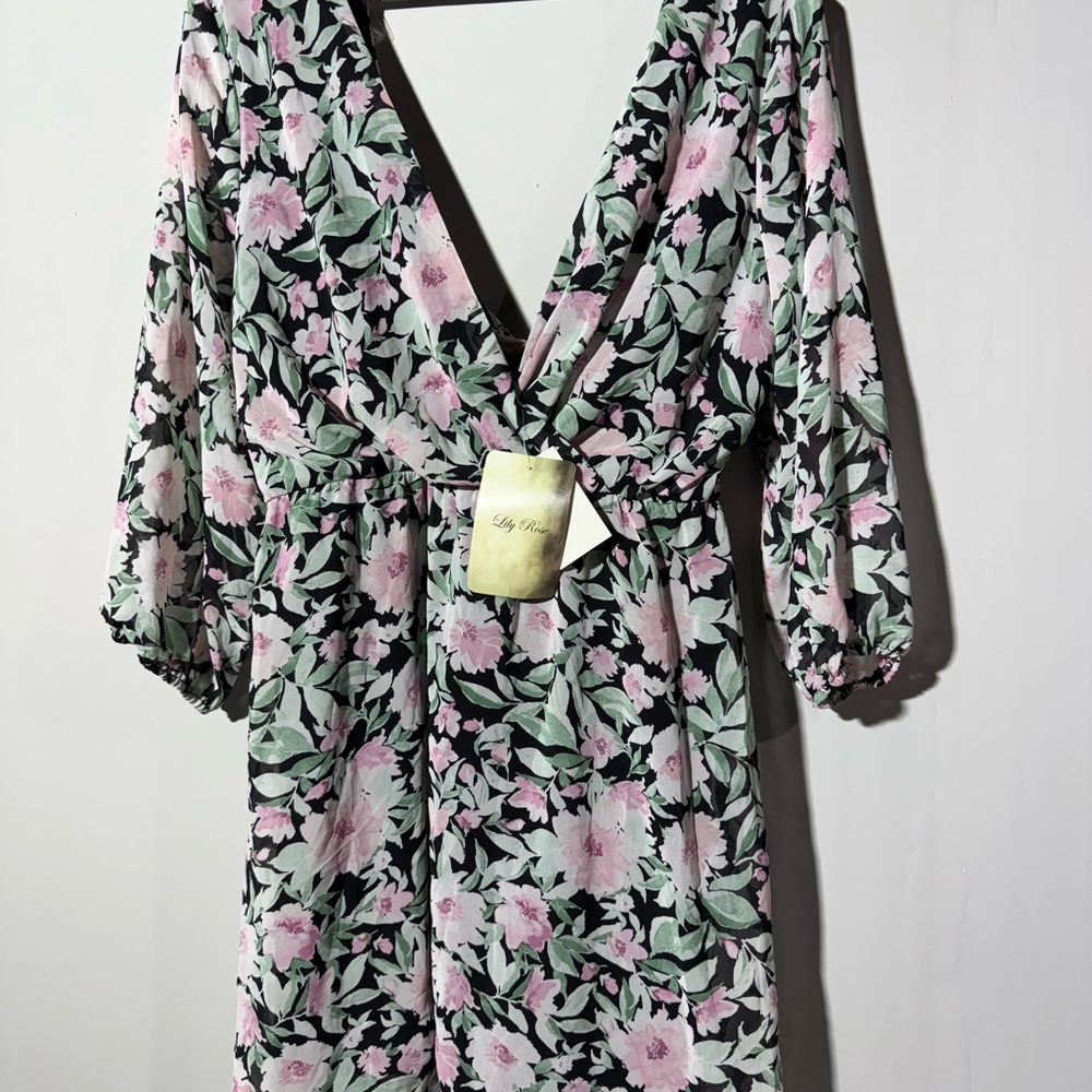 Lily Rose Pink and Green Floral Dress